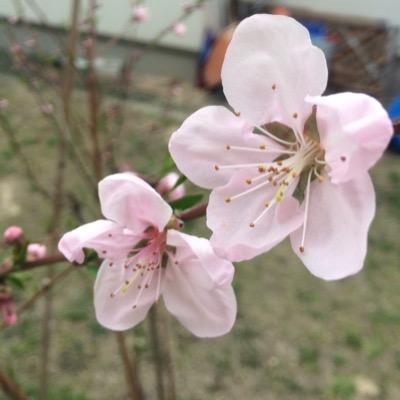 FX84998311's profile picture. 相互フォロー支援アカウント 自動リフォロー このアカウントをフォローしている人をフォローすると、より早くフォロアーが増えます。PUBG