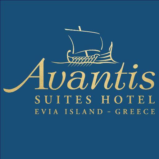 ΤΗΛ. 22290 64004
FAX. 22290 64005
E-mail : info@avantis-hotel.gr