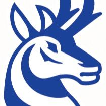 UL Pronghorns Hockey