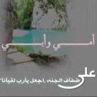 مسلط بن شعلان الشعلان(@Alshalan_ms) 's Twitter Profile Photo