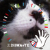 亀爺。 (@t4100m) Twitter profile photo 亀爺。 (@t4100m) Twitter profile photo