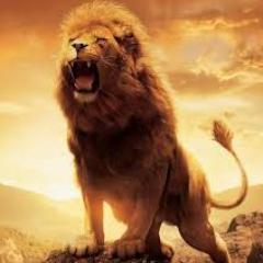 sjanagama81's profile picture. 