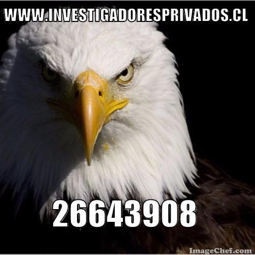 BÚSQUEDA DE PERSONAS
MISIONES RESERVADAS
DETECCIÓN DE ESPIONAJE
CASOS EMPRESARIALES
SERIEDAD Y LEALTAD
http://t.co/MVUeh6EevB
226643908