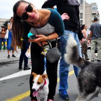 Marija Amski (@marijamski) 's Twitter Profile