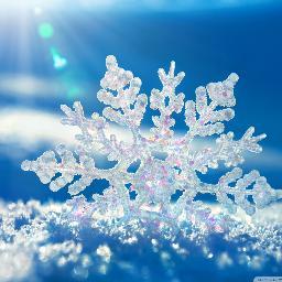 maru_shu_'s profile picture. 宮廷の修士二年です！理系ですがメーカーは二社だけ、主にコンサル、アセマネ、政府系金融見てます。就活生の方、よろしくお願いします( ´ ▽ ` )ﾉ