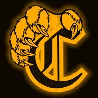 Camden Football (@lionfootballchs) 's Twitter Profile