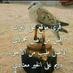 عايد المحمادي (@ai9395ad) Twitter profile photo عايد المحمادي (@ai9395ad) Twitter profile photo