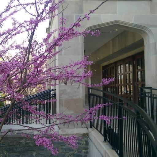 The Miami University Department of Music, part of the College of Creative Arts.