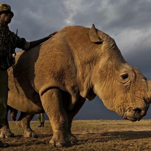 spartus49's profile picture. 