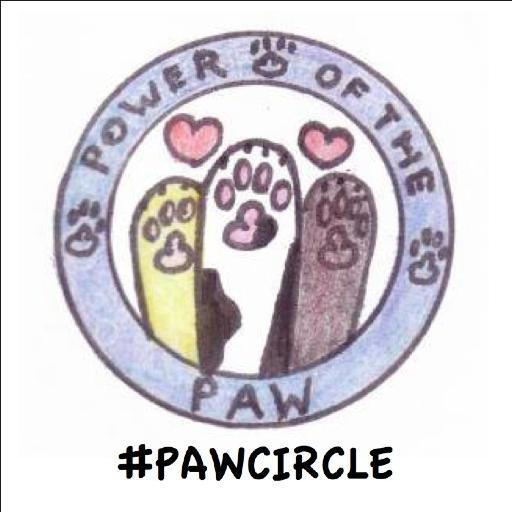 Helping #pawcircle spread the word about anipals in need, lost pets, and those needing good thoughts. #POTP 
All RTs appreciated!