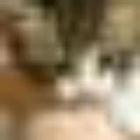 Pickle Gulch (@picklegulch) 's Twitter Profile