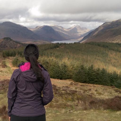 Hills. Walking. Lake District. Erstwhile blogger, occasional tweeter.