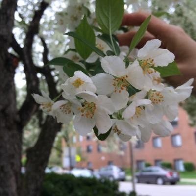 vivianqiu231's profile picture. 