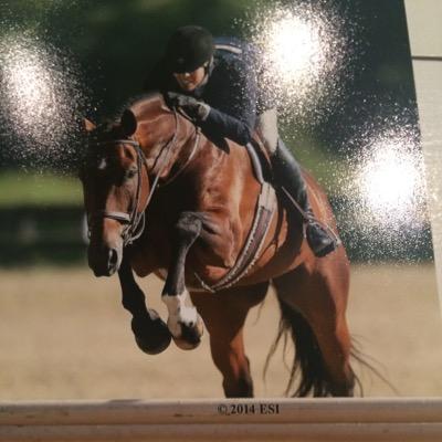 Therese Peck Profile