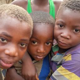 DADprogramme's profile picture. 