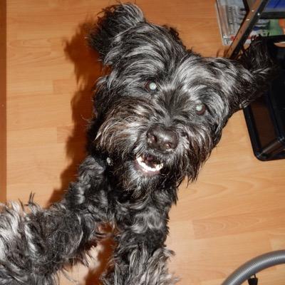 vitaprobandin's profile picture. 