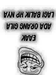 13a353f9a802437's profile picture. 