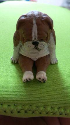 x51cgcc0's profile picture. 