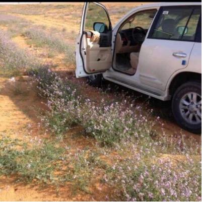 إرفع نظر عينك لروس المراقيب … وان شفت مبلي فدع له بالهدايه … والعالم اللي تجلب الشك والريب … البعد عنهم يابيض الوجه غايه