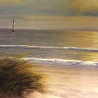 SonnSet (@sonnset2) 's Twitter Profile