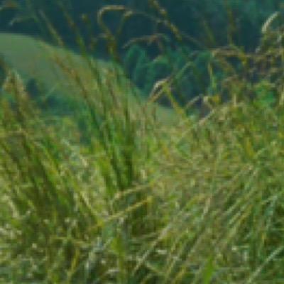 nilduman3's profile picture. 