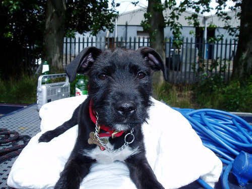 mumkinton's profile picture. 