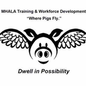 BuildYourOwnBox's profile picture. Mental Health America of Los Angeles’ Training and Workforce Development    Department provides training to agencies,the community & students
