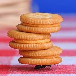 sathish_setty's profile picture. 