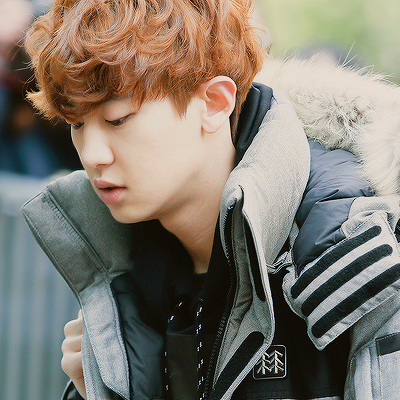 chanyeol's curly hair appreciation / cr in the pics