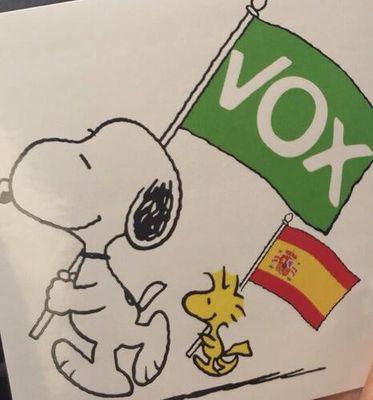 Patriota español, católico y votante de la derecha plural. La solución para España se llamaría VOX si expulsaran al médico globalista Juan Luis Steegman.