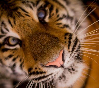 mawkan999's profile picture. คิดเอาเองนะ