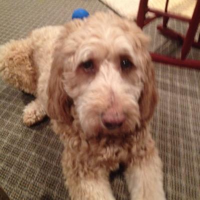 CindyCkd's profile picture. 