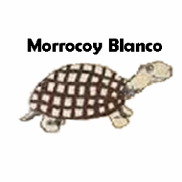 El Morrocoy Blanco nace inspirado en aquel Morrocoy Azul impreso de 1941 de Miguel Otero y que hoy en pleno siglo 21 aparece en las redes sociales!!!