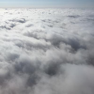 tsweets01's profile picture. 