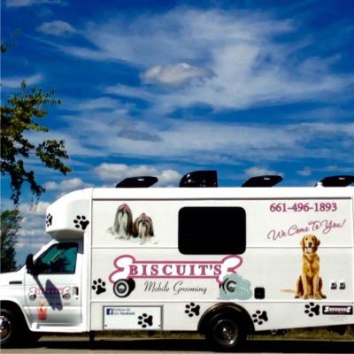 BiscuitsMobile's profile picture. 