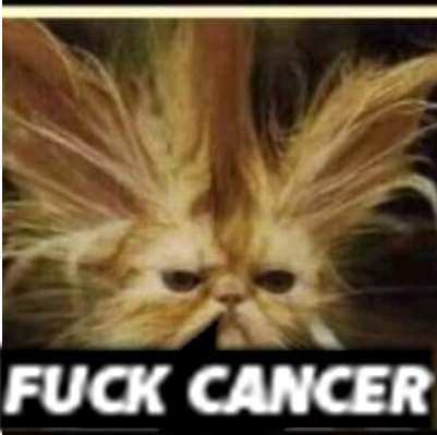 bernieloom's profile picture. 