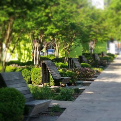 vsimmons411's profile picture. 