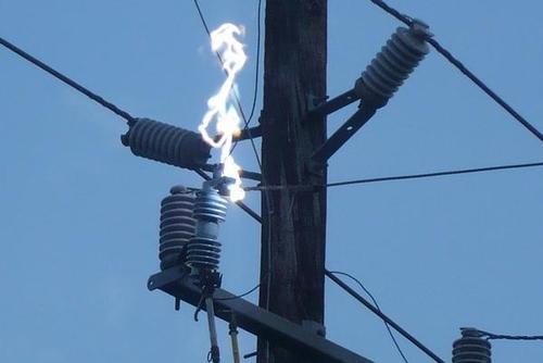 Been in SE NC all my life, Line Tech. for local Power Company