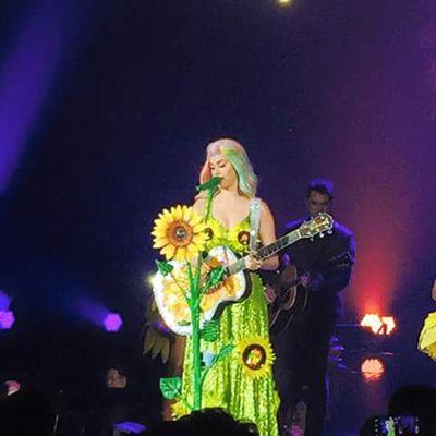 Hi! Katy Perry. I'm Katycats Thailand. I Will Love you Unconditionally Katy. I'm Katy Perry Slave.l will follow you Forever. :3