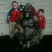 Brian Ronayne (@c1e3e6a2cfdf47c) 's Twitter Profile