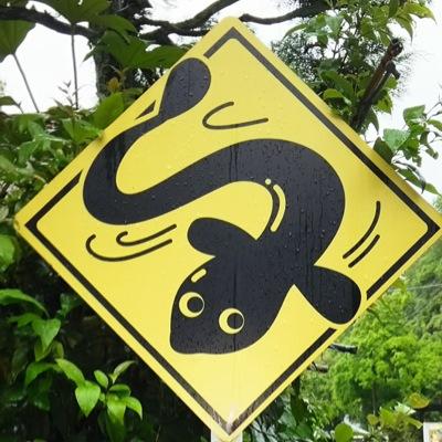 kisuke_un's profile picture. 