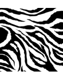 Mallory Thompson - @Mal_T - Twitter