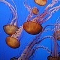 Tim (@biotim) 's Twitter Profile