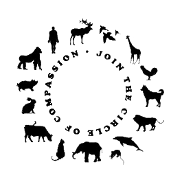 DebiniqueTaylor's profile picture. The journey of a 36 yr old meat lover discovering what it means to be a VEGAN; because human's are not the most important species on the planet!