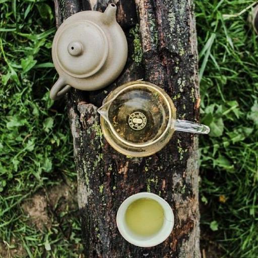 teaweeklynews's profile picture. 