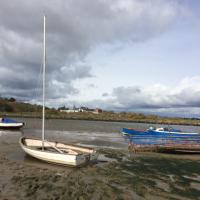 Tess O'Brien (@tessballg) 's Twitter Profile