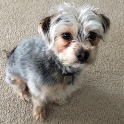 Alekona's profile picture. 