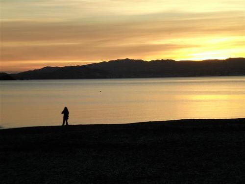 All things Hutt Valley - news, views, what's on, what's hot & not! Views are my own.