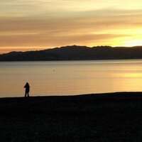 Hutt Hub (@hutthub) 's Twitter Profile