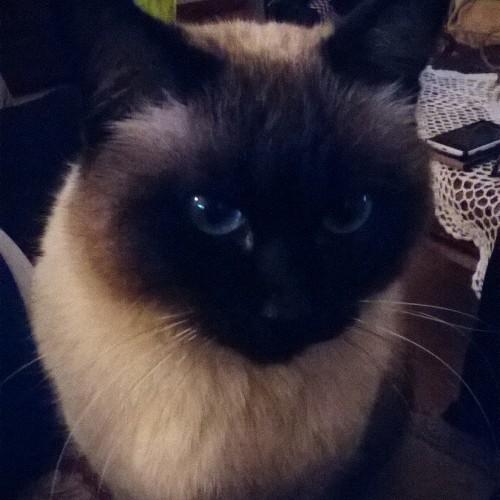 LuisiLidia's profile picture. 